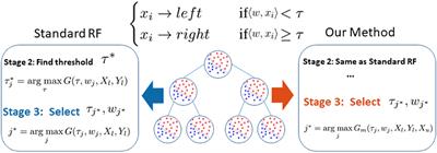 Semi-Supervised Learning in Medical Images Through Graph-Embedded Random Forest